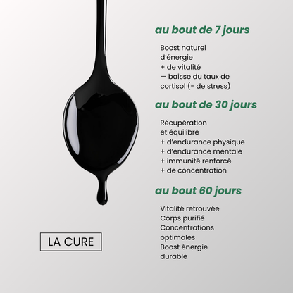 Boostez Votre Testostérone Naturellement